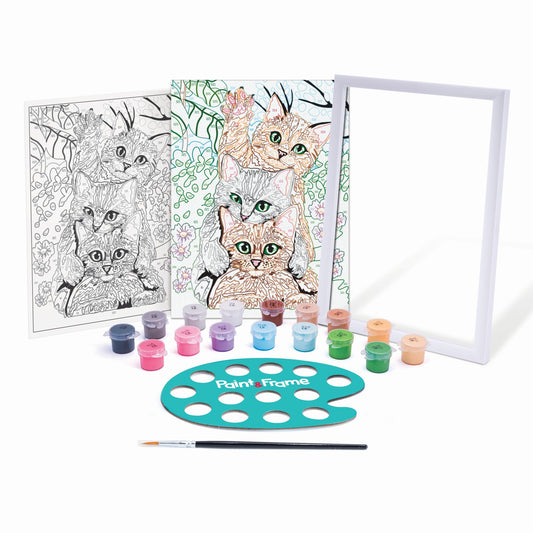 Picteaza si inrameaza pisici amuzante, AS