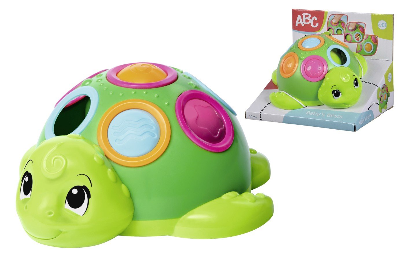 Abc broscuta testoasa - Publisol.ro