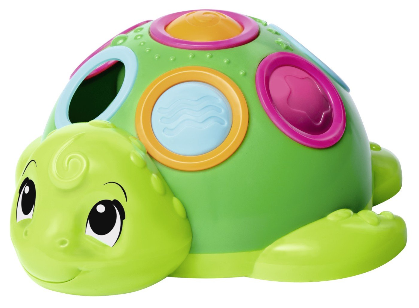 Abc broscuta testoasa - Publisol.ro