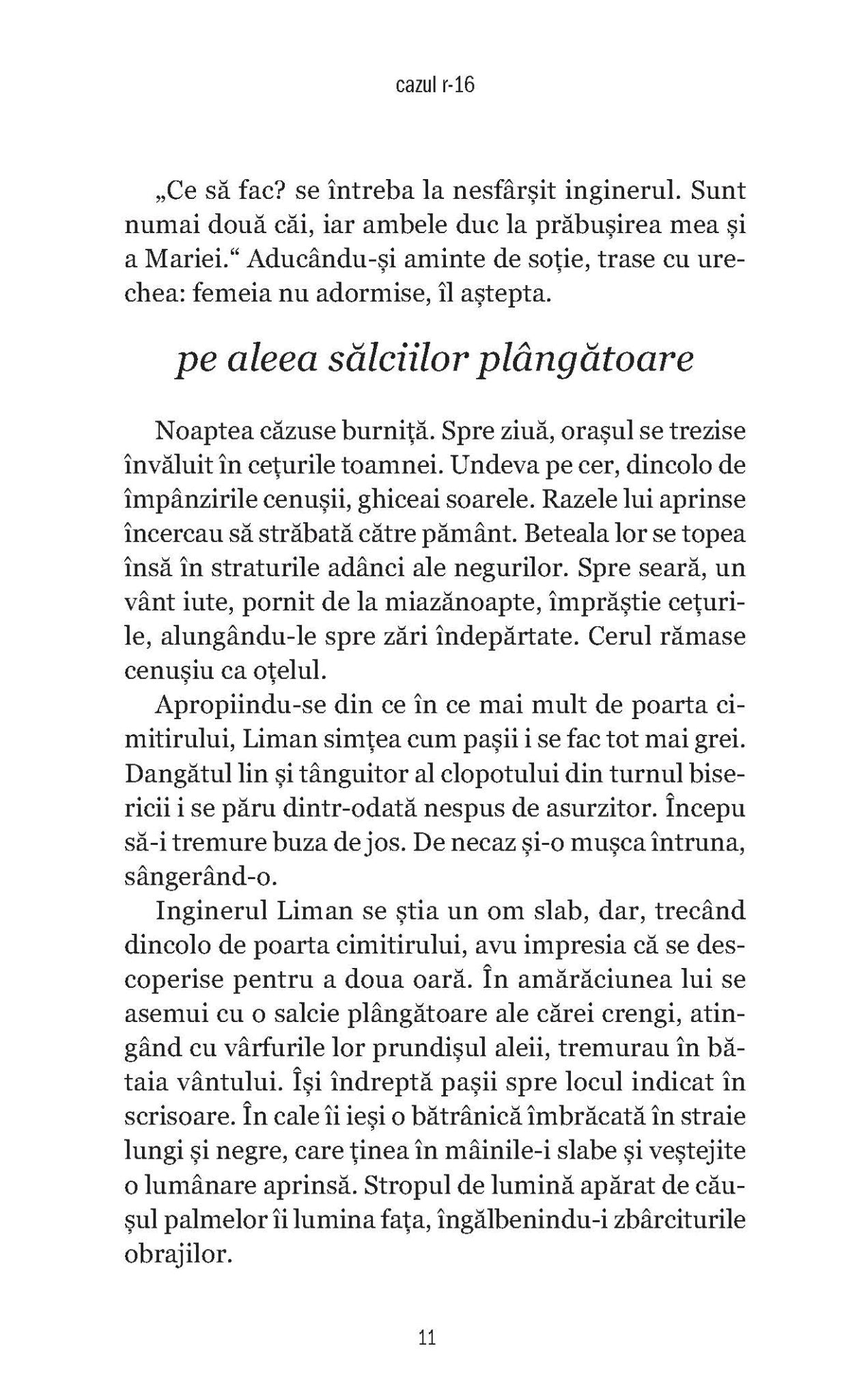 Cazul R-16, Atac la obiectivul 112, Cosciugul Agentului K-05 - Ed. digitala - Publisol.ro