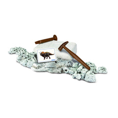 Descopera dinozaurul triceratops - Publisol.ro