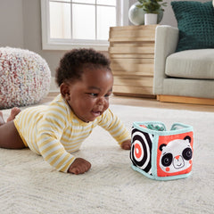 Fisher price panou cu activitati - Publisol.ro