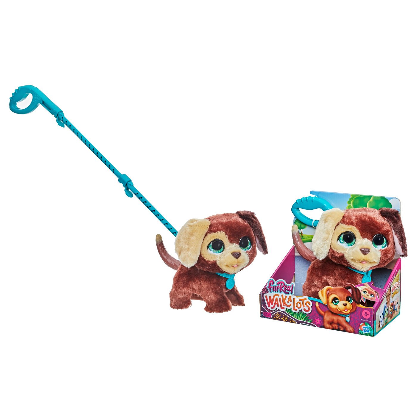 Furreal cu catelul la plimbare - Publisol.ro