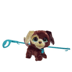 Furreal cu catelul la plimbare - Publisol.ro