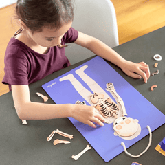 Joc educativ magnetic - Totul despre Corp si Emotii - mierEdu - Publisol.ro