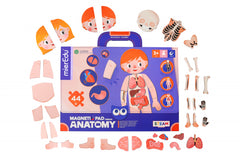 Joc magnetic educativ - Anatomia Umana - mierEdu