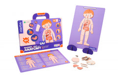 Joc magnetic educativ - Anatomia Umana - mierEdu