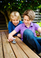 Kit constructie Robot alimentat cu sare, Stiinta Verde - Green Science - 4M - Publisol.ro