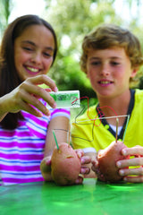 Kit stiintific - Ceas din cartof, Stiinta Verde - Green Science - 4M - Publisol.ro