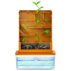 Kit stiintific - Creste un Labirint, Stiinta Verde - Green Science - 4M - Publisol.ro