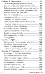 Meditatii Moderne, de Murray du Plessis - Publisol.ro