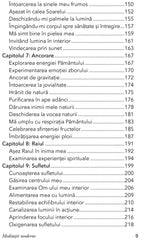 Meditatii Moderne, de Murray du Plessis - Publisol.ro