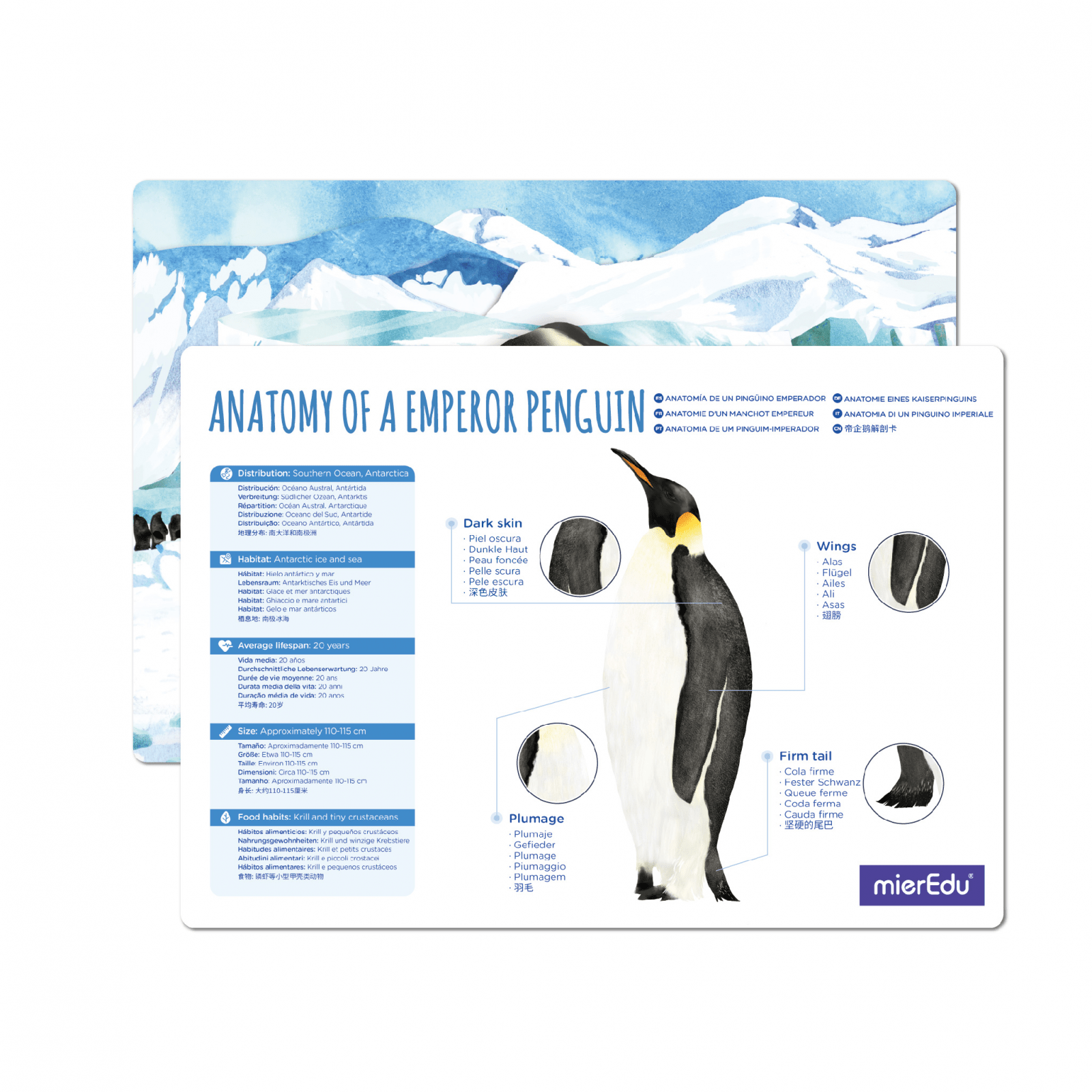 Puzzle 3D reglabil - Pinguin Imperial (deluxe) - mierEdu - Publisol.ro