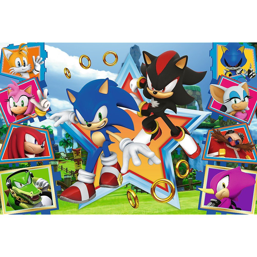 Puzzle Trefl 100 Sonic minunata lume a lui Sonic - Publisol.ro