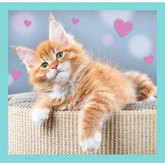 Puzzle trefl 3in1 pisicutele dragalase, Trefl - Publisol.ro