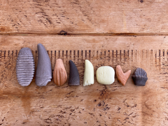 Sa investigam! - Dinti preistorici - Yellow Door