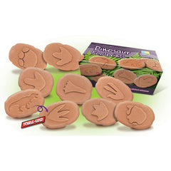 Sa investigam! - Urme dinozauri - Yellow Door