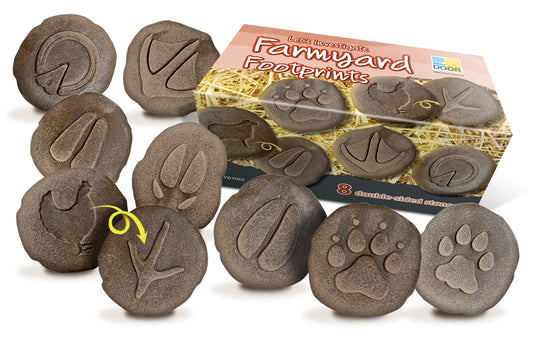 Sa investigam! - Urme animale ferma - Yellow Door