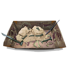 Set educativ Sapa si descopera Dinozauri - Brachiosaurus - 4M