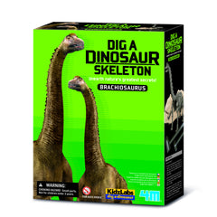 Set educativ Sapa si descopera Dinozauri - Brachiosaurus - 4M