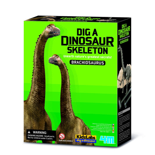 Set educativ Sapa si descopera Dinozauri - Brachiosaurus - 4M - Publisol.ro