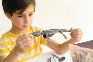 Set educativ Sapa si descopera Dinozauri - Mosasaurus - 4M - Publisol.ro