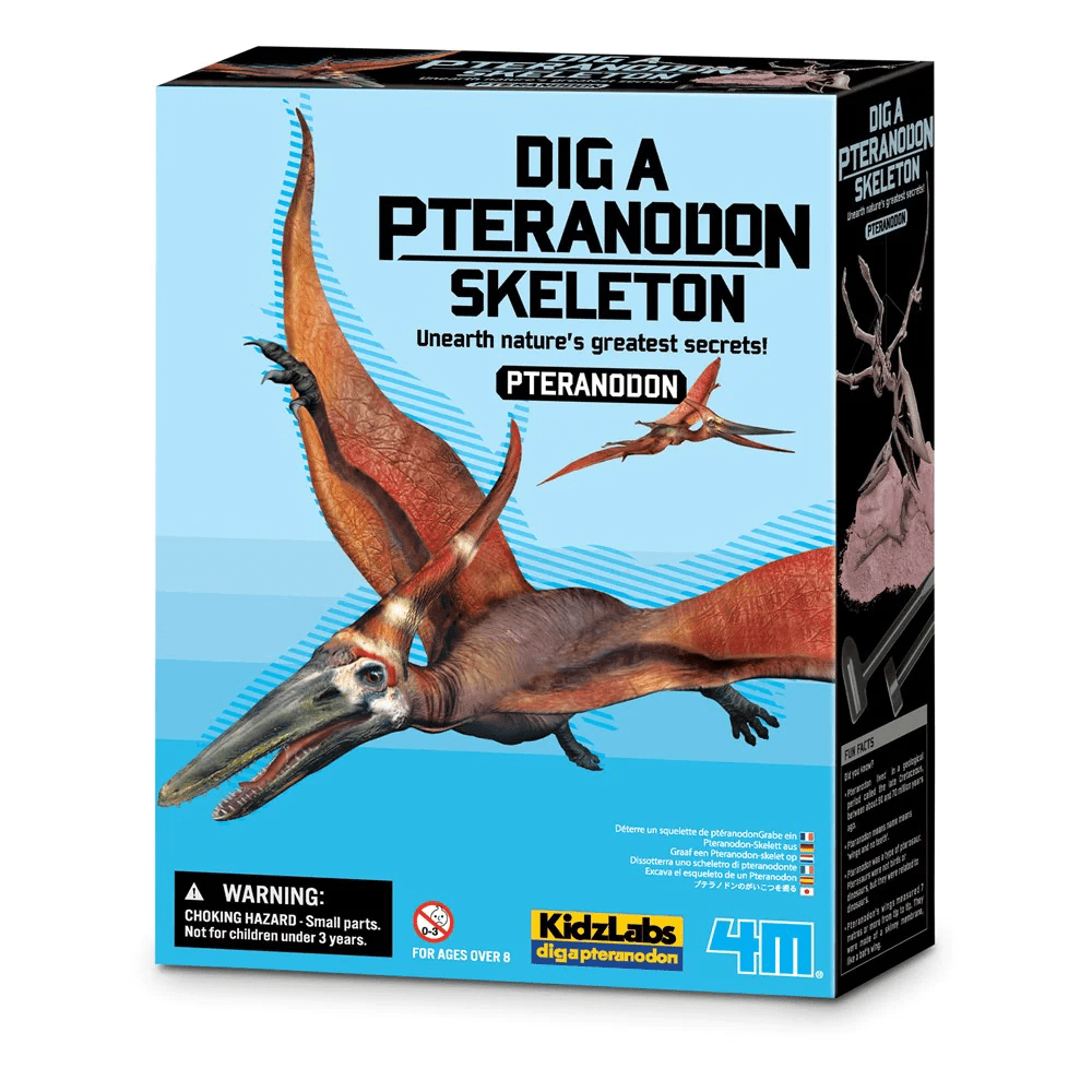 Set educativ Sapa si descopera Dinozauri - Pteranodon - 4M - Publisol.ro
