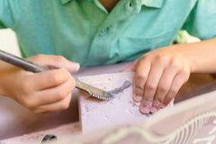 Set educativ Sapa si descopera Dinozauri - Pteranodon - 4M