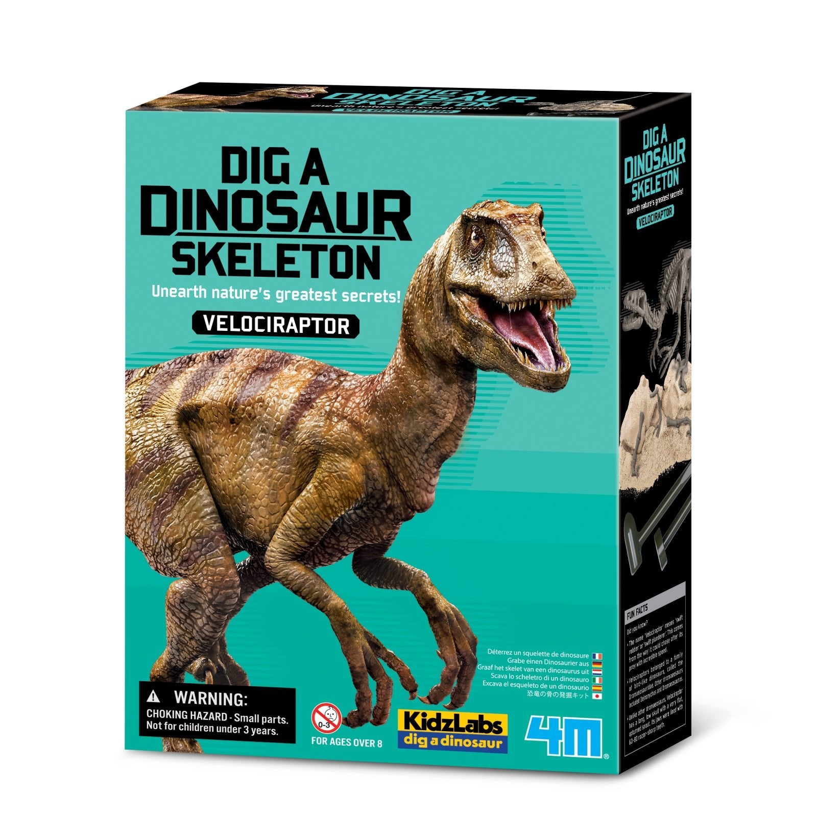 Set educativ Sapa si descopera Dinozauri - Velociraptor - 4M - Publisol.ro