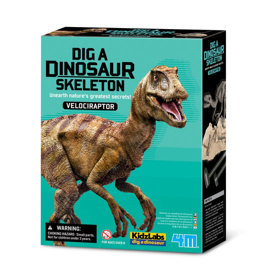 Set educativ Sapa si descopera Dinozauri - Velociraptor - 4M - Publisol.ro