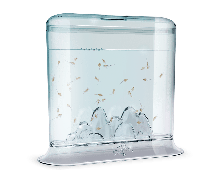 Set educativ STEM - AQUA DRAGONS Habitat HATCH N GROW - Aqua Dragons - Publisol.ro