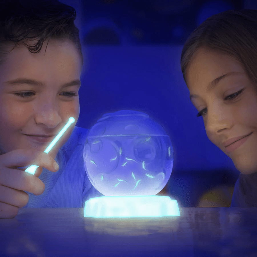 Set educativ STEM - AQUA DRAGONS - Habitat Lumea subacvatica - acvariu asteroid cu LED - uri - Aqua Dragons - Publisol.ro