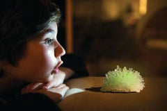 Set experimente de crescut cristale, fosforescent - straluceste in intuneric - 4M - Publisol.ro