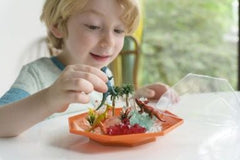 Set experimente de crescut Cristale, terariu cu Dinozauri - 4M