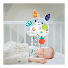 Winfun jucarie iepuras - Publisol.ro