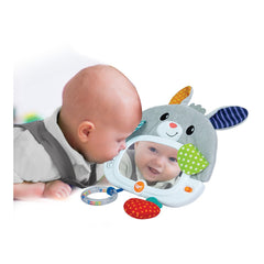 Winfun jucarie iepuras - Publisol.ro