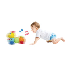 Winfun jucarie omida cu telecomanda - Publisol.ro