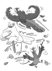 Adevaratii porumbei traiesc periculos (vol. II) - Publisol.ro