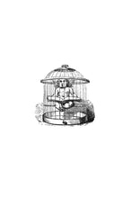 Buna dimineața, Veronica! - Publisol.ro