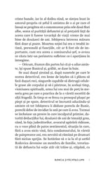 Bunicul si pacatele lumii - Publisol.ro