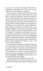 Cand Moare Inamicul Cel Mai Bun - Publisol.ro