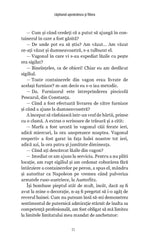 Capitanul Apostolescu si Filiera - Publisol.ro