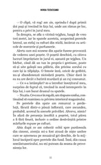 Capitanul Apostolescu si Revelionul - Publisol.ro