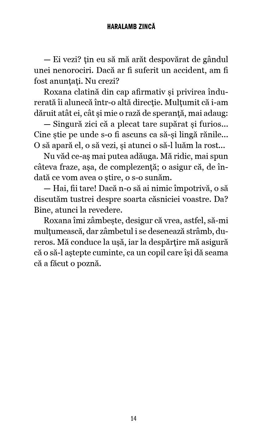 Dosarul Aviatorului Singuratic - Publisol.ro