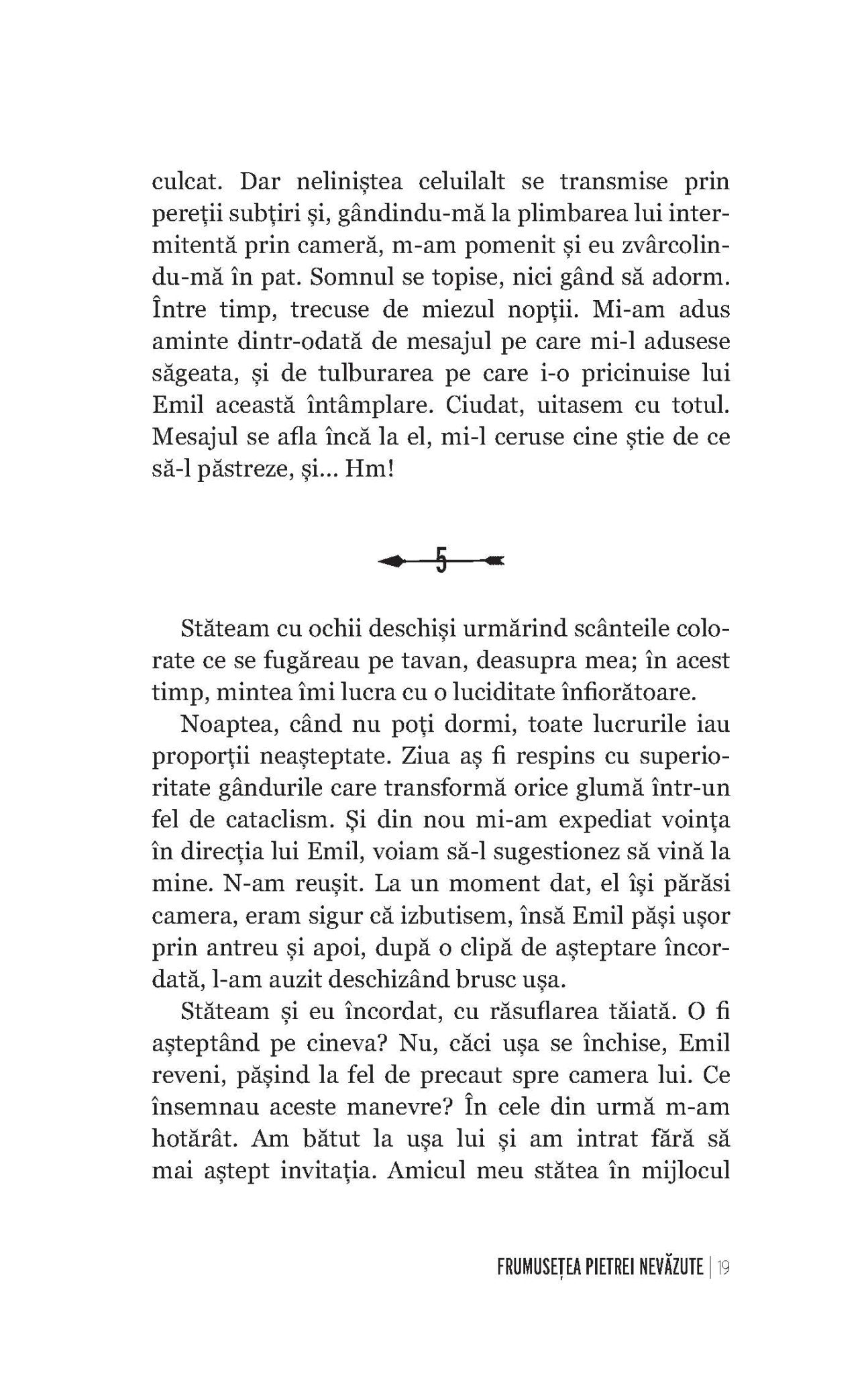 Frumusetea pietrei nevazute - Publisol.ro