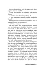 Frumusetea pietrei nevazute - Publisol.ro