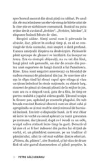 Judecata de Apoi - Publisol.ro