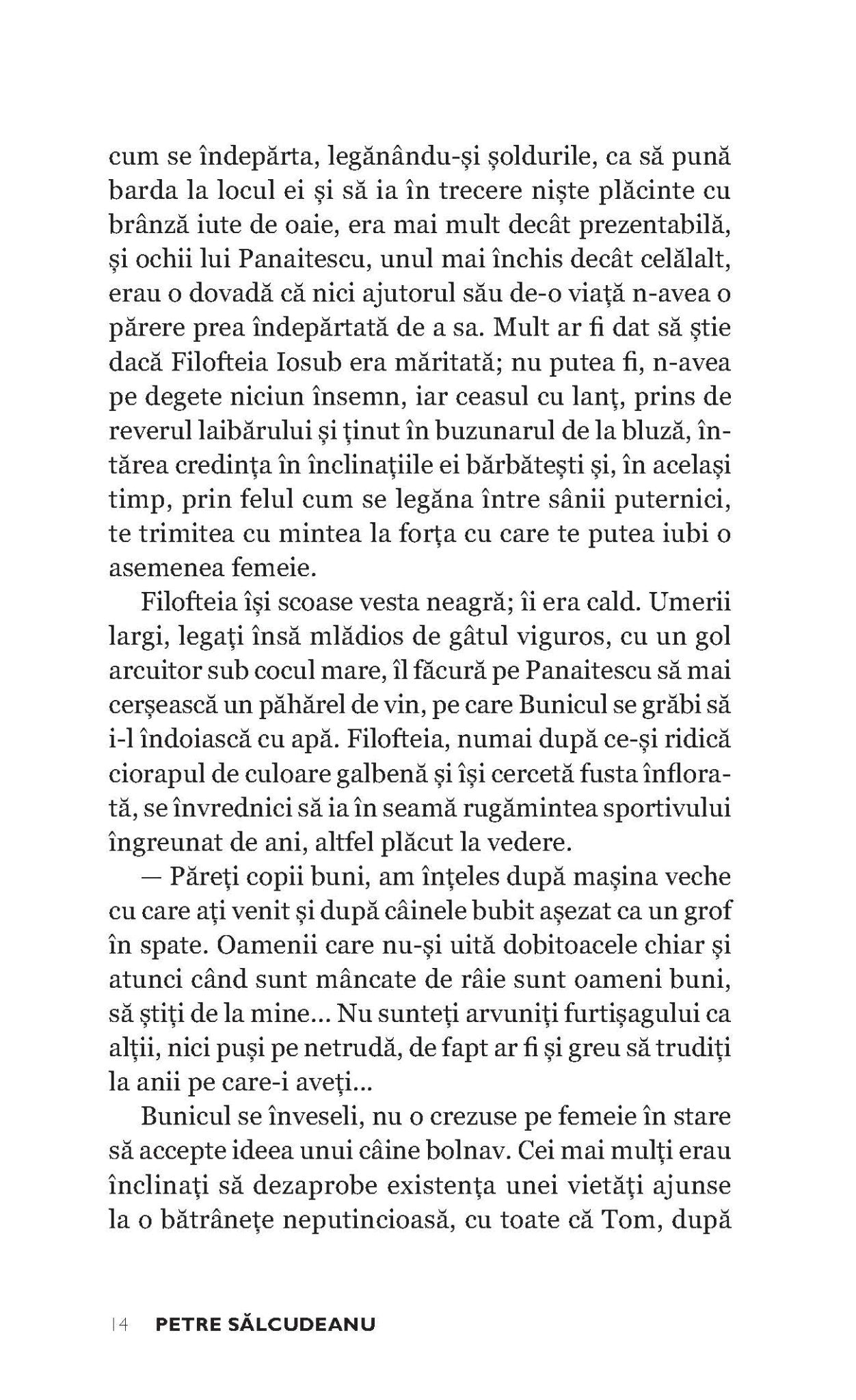 Judecata de Apoi - Publisol.ro