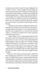 Judecata de Apoi - Publisol.ro