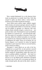 Speranta Pentru Speranta - Publisol.ro